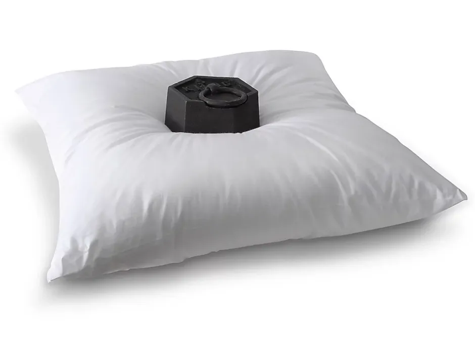 Vente-unique Oreiller 60 x 60 cm de DREAMEA - 600 gr - MARIN