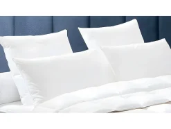 Dodo Oreiller Naturel Duvet - 65x65 cm - BAFFIN