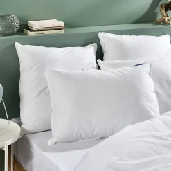 Bleu Calin Oreiller Duvet Moelleux 50x70cm 90% DUVET DE CANARD Hot