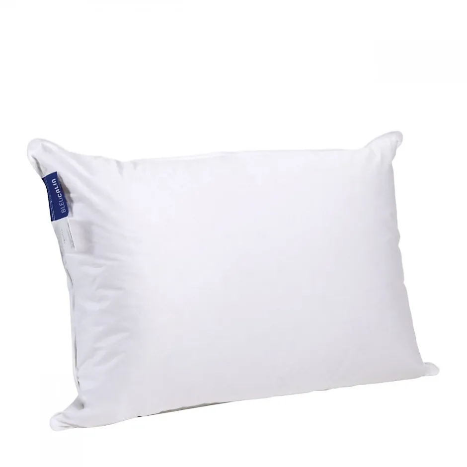 Bleu Calin Oreiller Duvet Moelleux 50x70cm 90% DUVET DE CANARD Hot