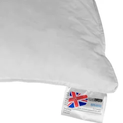 Homescapes Oreiller en duvet d'oie 40 x 80 cm - Clearance