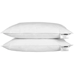 Homescapes Oreiller en plumes de canard 50 x 75 cm, lot de 2 -