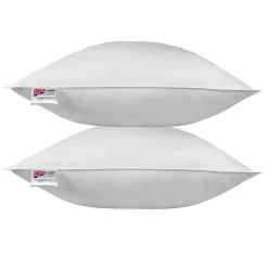 Homescapes Oreiller en plumes de canard 80 x 80 cm - lot de 2 - Best