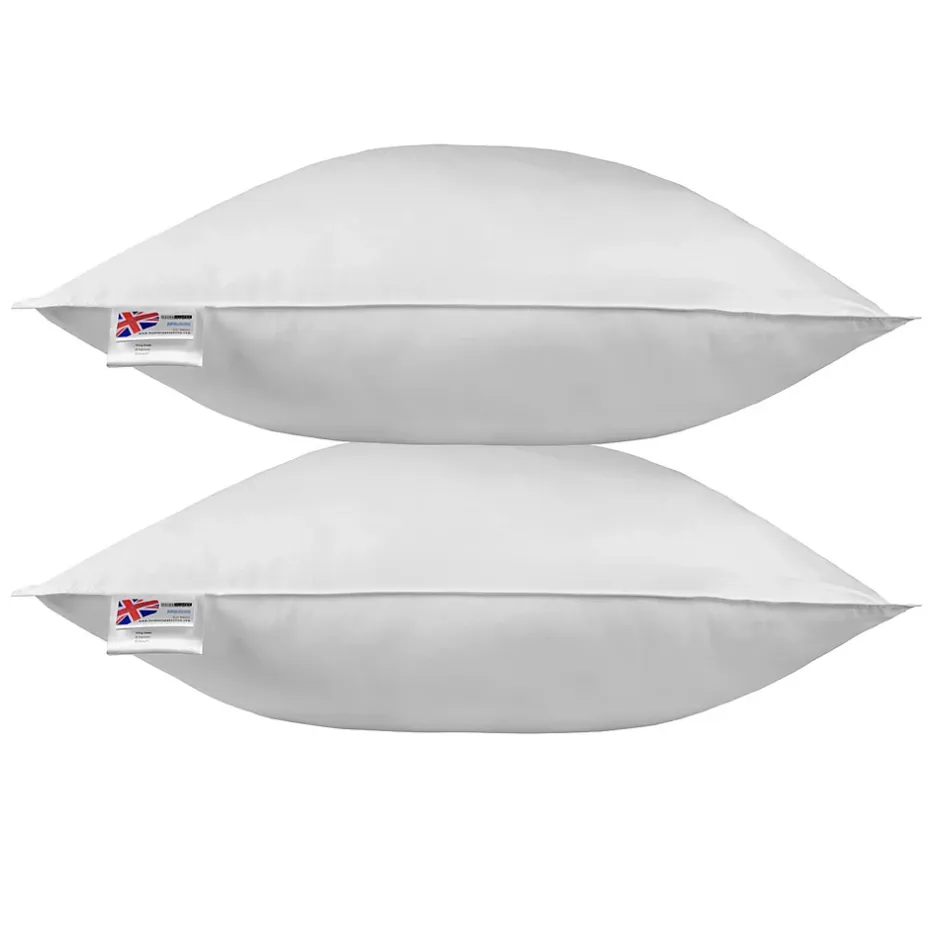 Homescapes Oreiller en plumes de canard 80 x 80 cm - lot de 2 - Best