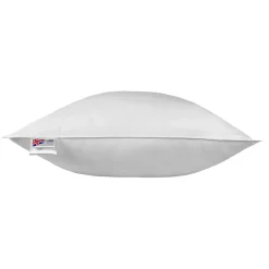 Homescapes Oreiller en plumes de canard 80 x 80 cm -