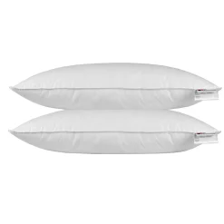 Homescapes Oreiller en plumes de canard 40 x 80 cm - lot de 2 -