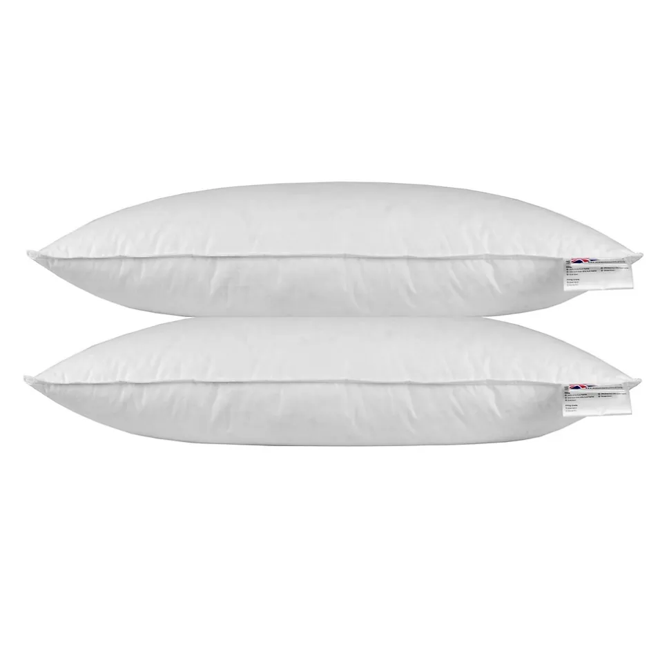 Homescapes Oreiller en plumes de canard 40 x 80 cm - lot de 2 -