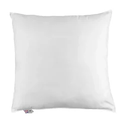 Homescapes Oreiller en plumes et duvet d'oie 80 x 80 cm - New