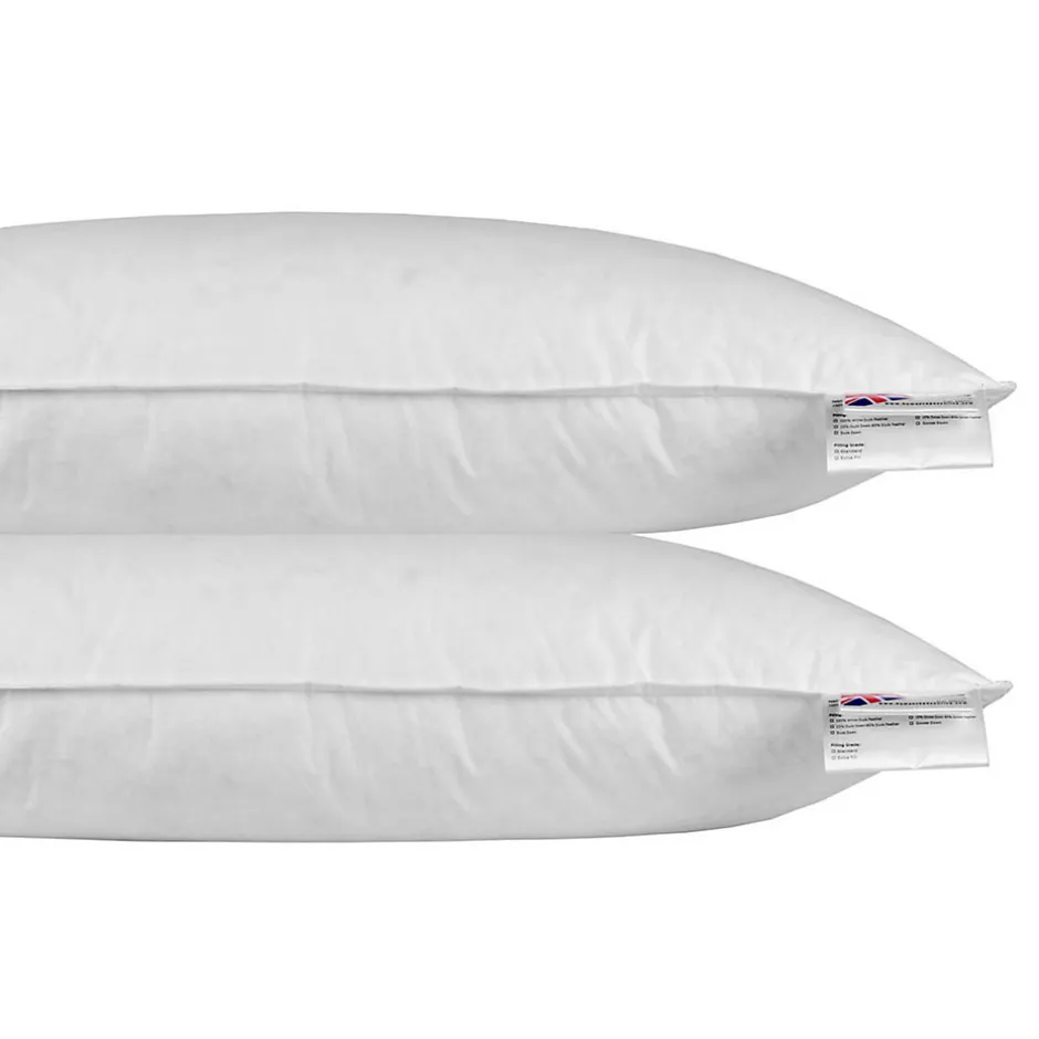 Homescapes Oreiller en plumes et duvet de canard 40 x 80 cm - lot de 2 -
