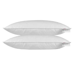 Homescapes Oreiller en plumes et duvet de canard 40 x 80 cm - lot de 2 -