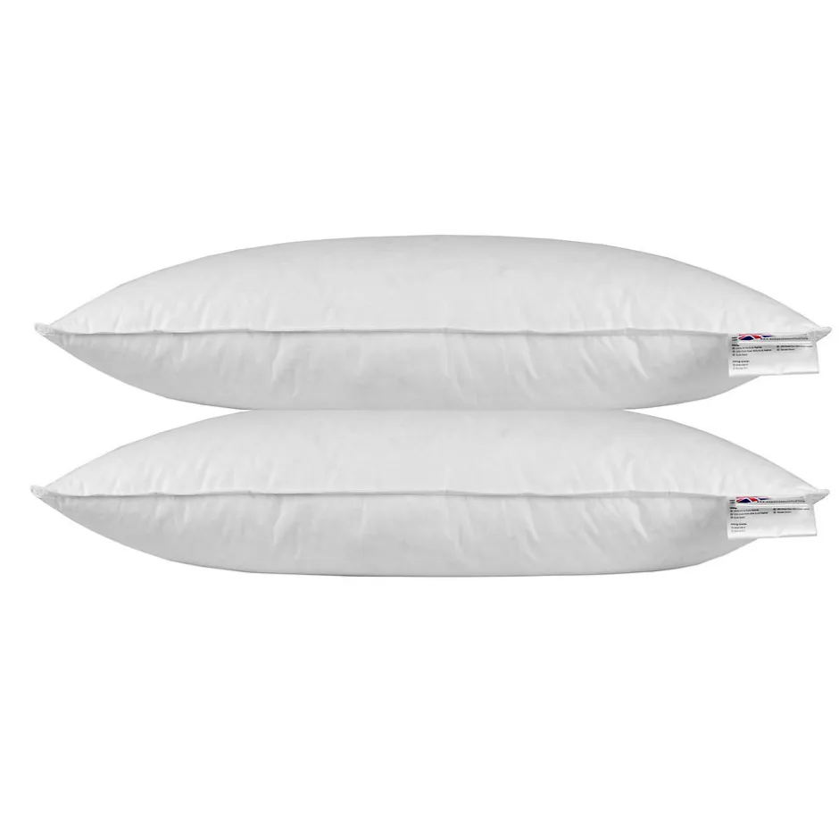 Homescapes Oreiller en plumes et duvet de canard 40 x 80 cm - lot de 2 -