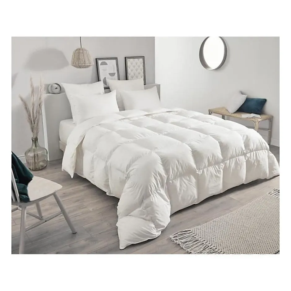 Toison d'Or Oreiller en plumettes et duvet (50x70 cm - Blanc) Hot