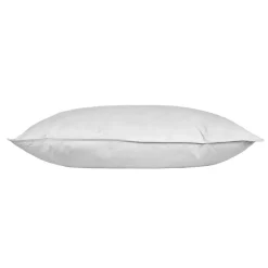 Homescapes Oreiller enfant en duvet et en plumes d'oie, 40 x 60 cm -