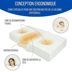 Inphysio Oreiller ergonomique anti-rides, anti-acouphène - extra grande - 65x42x10 - ERGO Discount