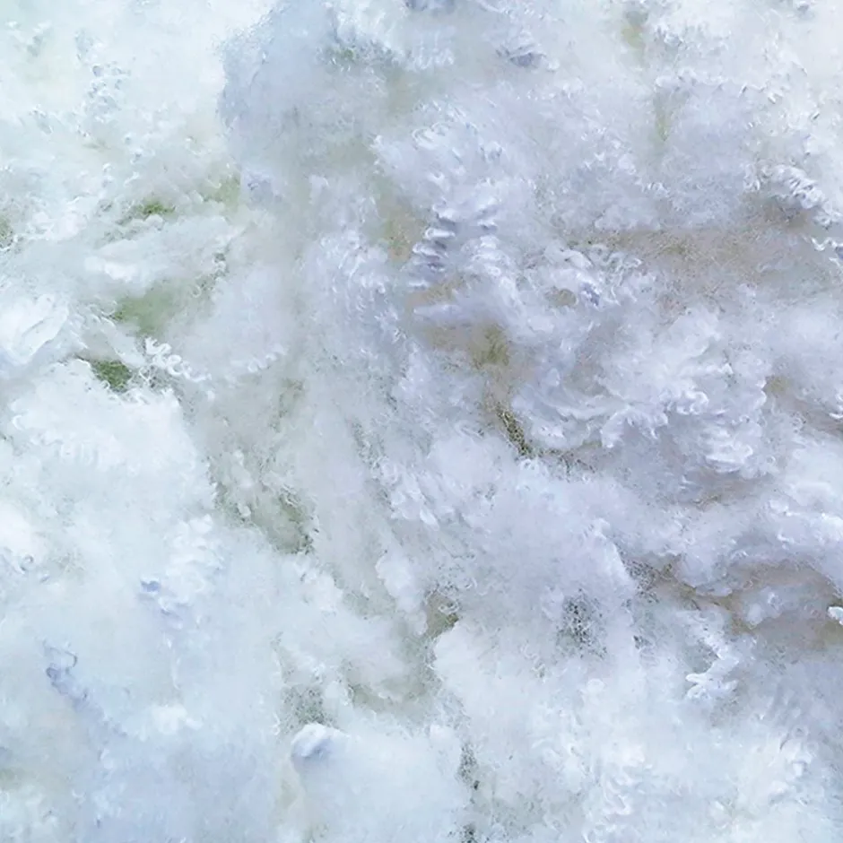 Bellecour Oreiller Luxotel 60x60 cm Fibres creuses polyester Sale