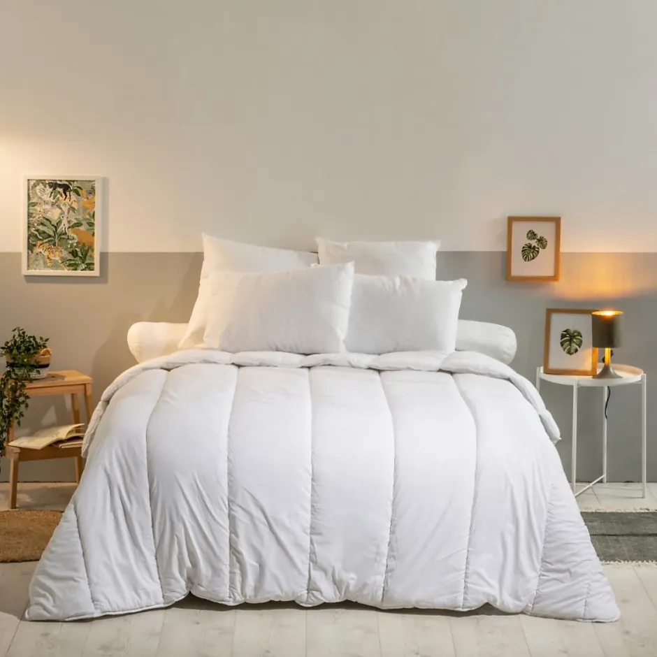Bleu Calin Oreiller Moelleux 60x60cm ANTI-PUNAISES DE LIT Discount
