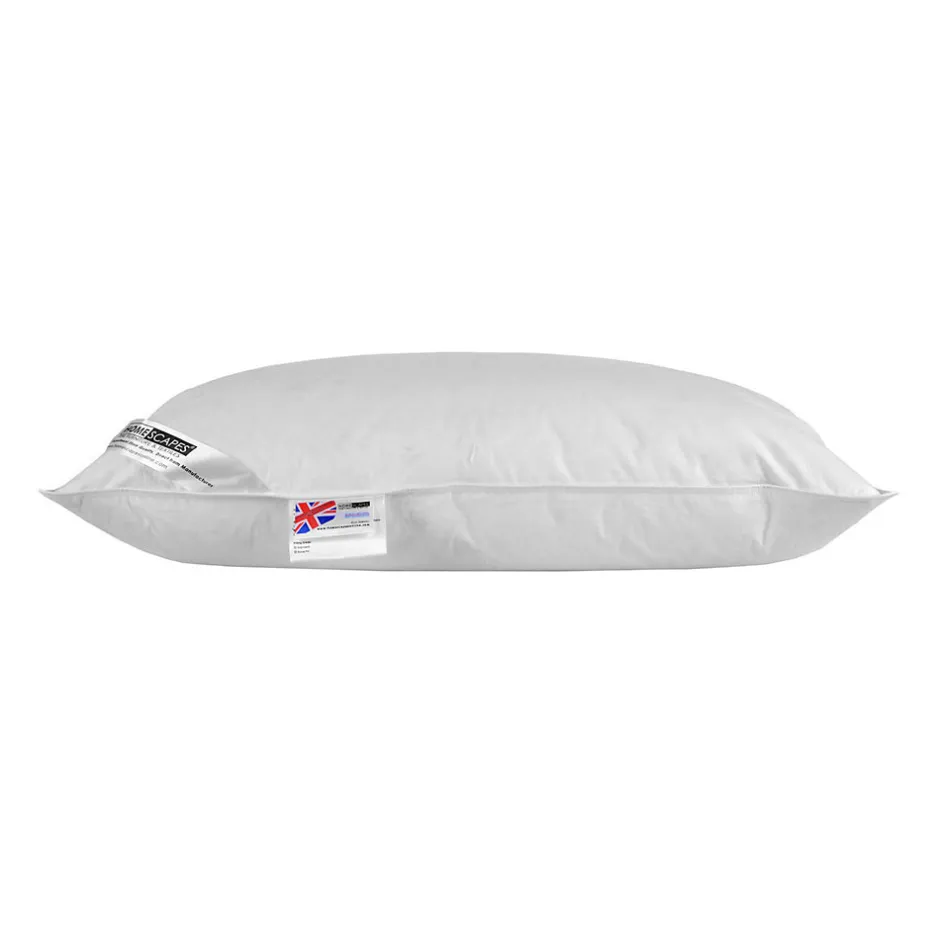 Homescapes Oreiller musical en plumes de canard ultra gonflant et moelleux 50 x 75 cm -
