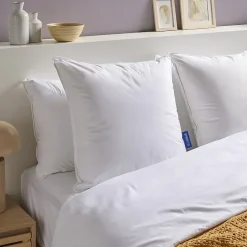 Bleu Calin Oreiller souple 60x60 cm DUO DUVET CANARD MICROFIBRE Best