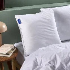 Bleu Calin Oreiller Ultra Moelleux 65x65cm COTON PERCALE