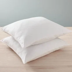 Blanreve Oreillers Blanrêve Lot de 2 60 x 60 cm Blanc polycoton recyclé Hot