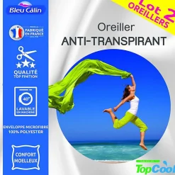 Bleu Calin Oreillers Topcool 60x60 Lot de 2 Blanc Discount