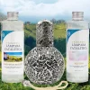 Mamamanuela Pack économique Lampe Catalytique Mosaïque Noir + Parfum Provence Breeze (500 ml) + Nettoyant Neutre (200 ml) + Mèche de Rechange