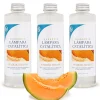 Mamamanuela Pack économique 3x Parfum pour lampe catalytique 200 ml : Arôme Waikiki Melon - Profitez plus longtemps de votre parfum préféré