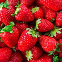 Mamamanuela Parfum Wild Strawberry pour lampe catalytique (200 ml) - Élimine les mauvaises odeurs, parfume et nettoie l'environnement Outlet