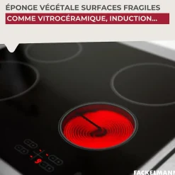 Éponge Végétale Multi-Surfaces fragiles Fackelmann Tecno Best