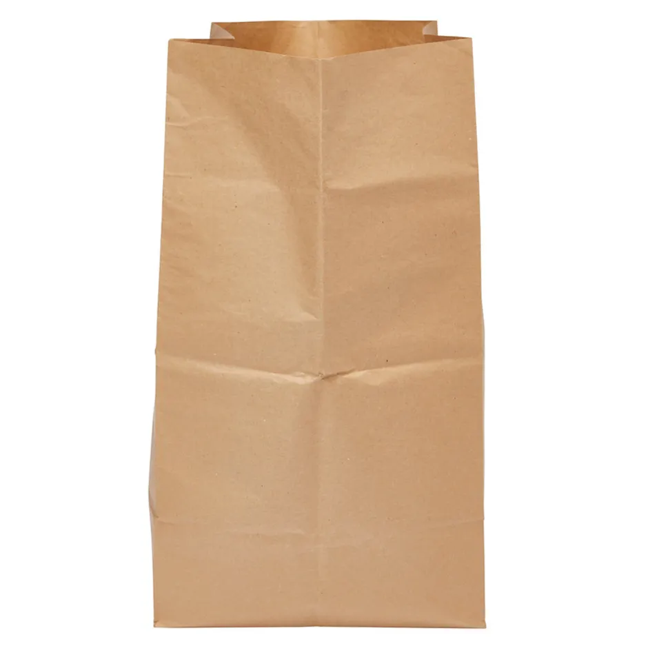 Verve Sac à végétaux extérieur marron 100L