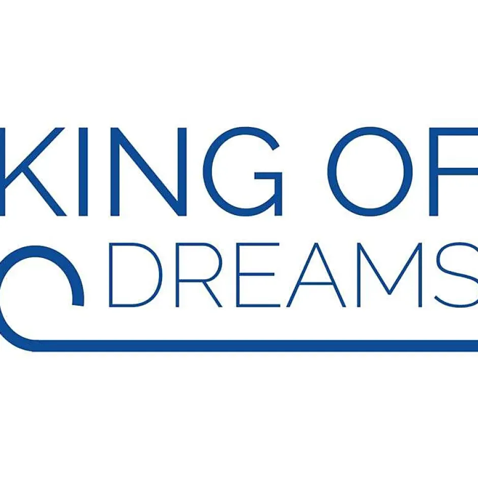King Of Dreams Sommier Metal 120x190 Cadre à lattes + Pieds 29 cm Epaisseur Metal 1,2 mm 14 Lattes en 9 mm Durabilité CADRE A LATTE JULIE Discount