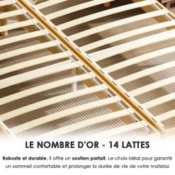 Teeno Sommier tapissé 160x200 cm(2x80x200), 12 pieds pour un maintien stable, hauteur 29 cm, housse amovible incluse