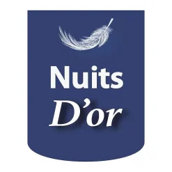 Nuits D'Or SOMMIER TAPISSIER 140x200 cm - 20 cm - 13 lattes - montage rapide et facile - revêtement facile d'entretien - GREGORY MARRON Discount