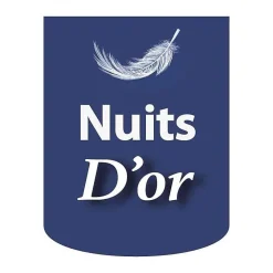 Nuits D'Or Sommier 90x190 - 20 cm - Déhoussable - 13 Lattes - Montage Rapide et Facile - Housse Lavable - Confort Optimal - Opale Gris Outlet