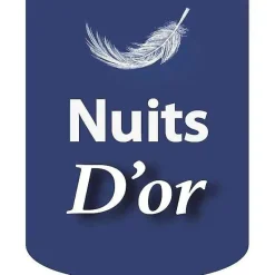 Nuits D'Or Sommier 80x200 cm - tapissier - déhoussable - housse lavable - pieds 20 cm - 13 lattes - confort optimal - usage quotidien -