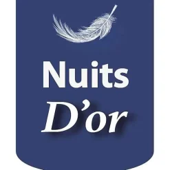 Nuits D'Or Sommier 120x200 Tapissier Déhoussable 20 cm - 13 Lattes - Montage Rapide - Facile d'entretien - Confort Optimal - Design Moderne - Outlet