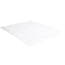 Bellecour Surmatelas 6 cm Tranquilité 180x200 cm Duvet et plumettes de canard neuf Outlet