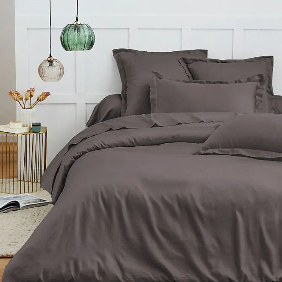 Coton Pur Taie d'oreiller "Prémium" toutes dimensions - Prémium Ardoise - 50 x 70 cm Clearance