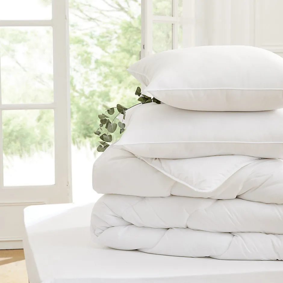 Toison d'Or - Oreiller - Eole - Confort souple - 60x60cm - Blanc