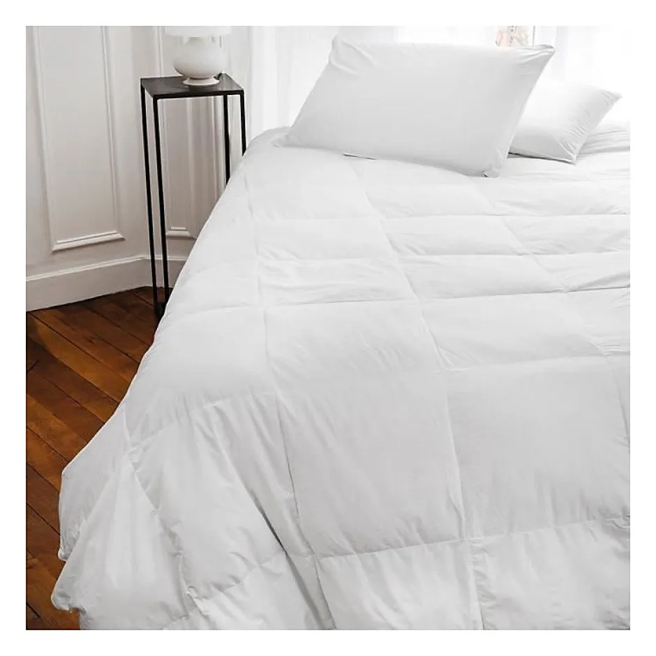 Toison d'Or - Oreiller - Plumdor - Confort médium - 65x65cm - Blanc